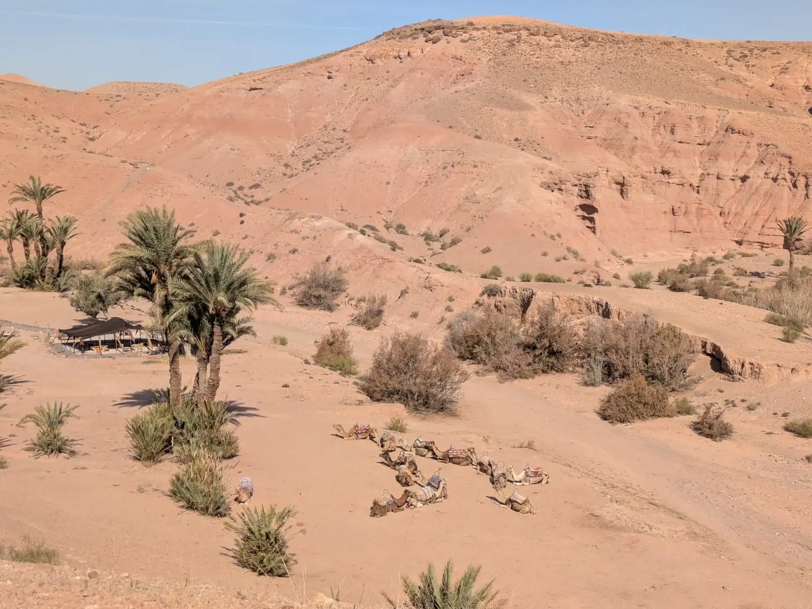 Buggy & Kameelrit Avontuur Combo