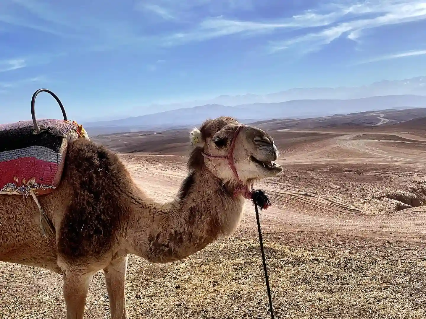 Escursione Giornata nel Deserto di Agafay: Quad + Cammello + Pranzo + Piscina