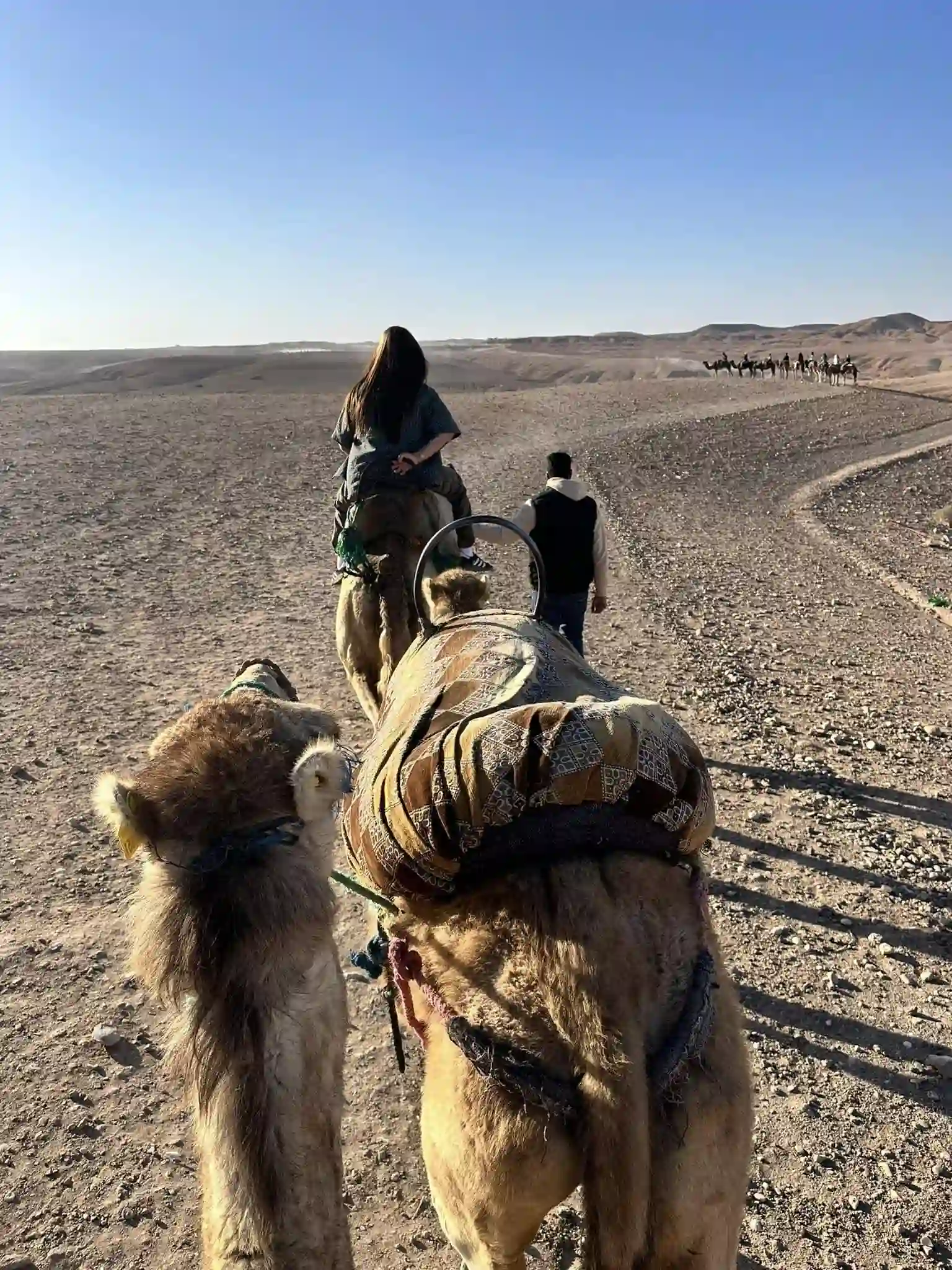 Balade a dos de chameau au coucher du soleil dans le desert d'Agafay