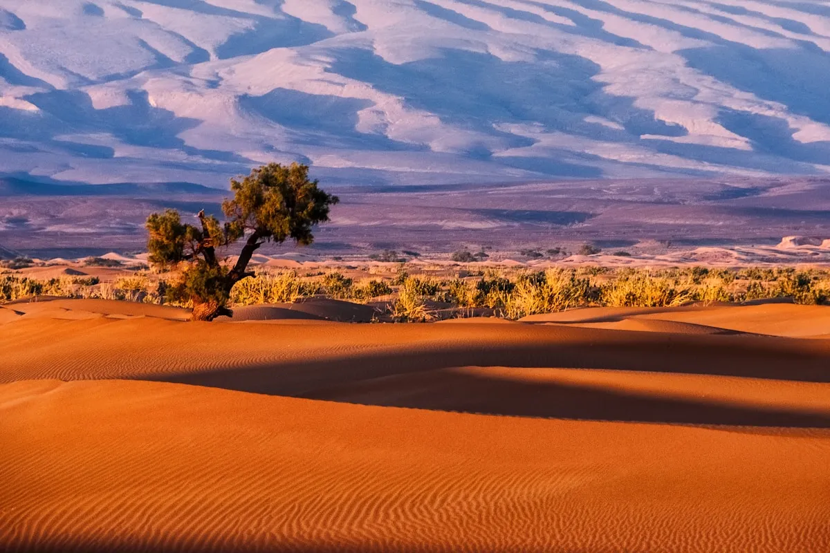 Agafay vs Merzouga: ¿qué desierto marroquí elegir?