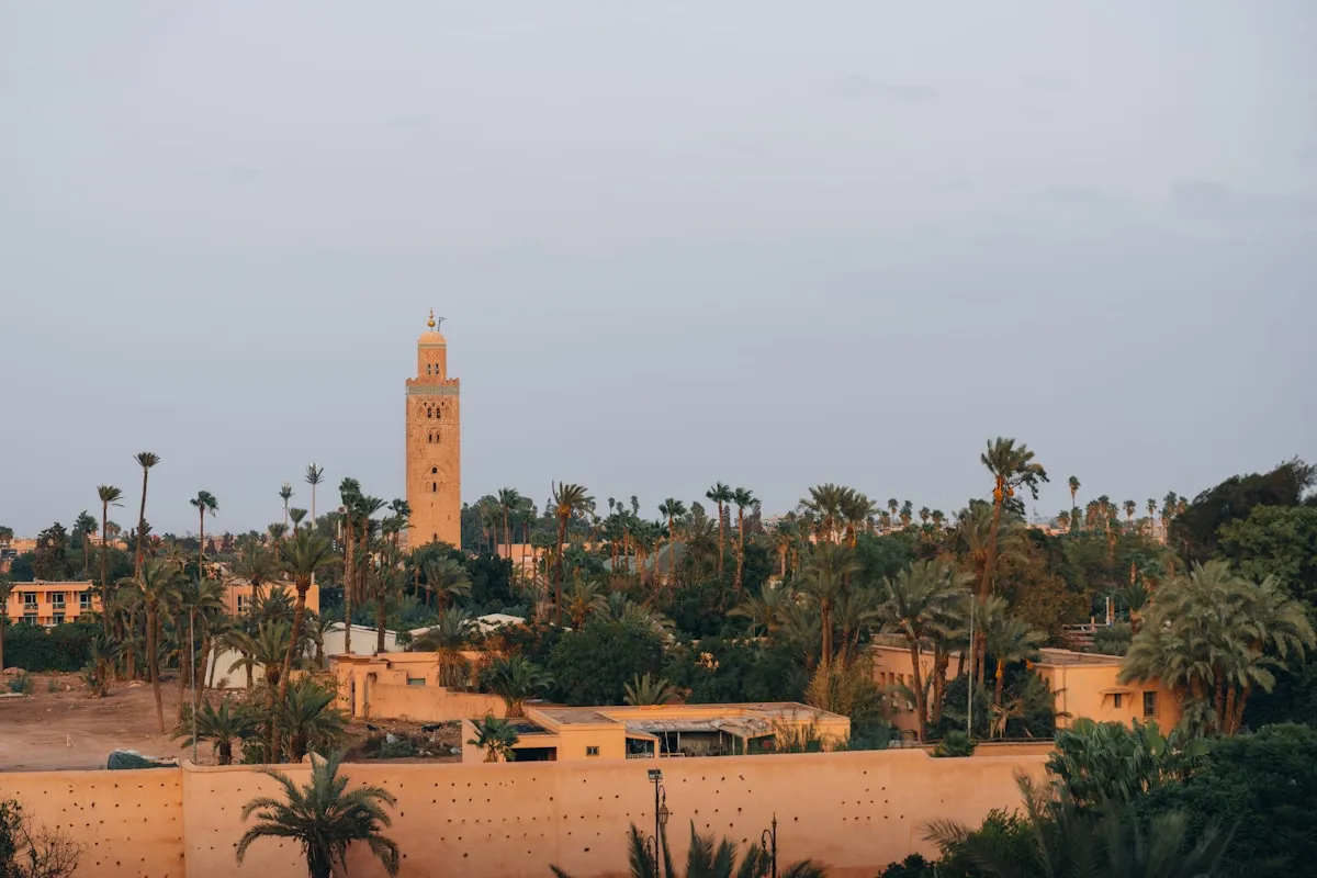 Descubrir la Palmeraie de Marrakech