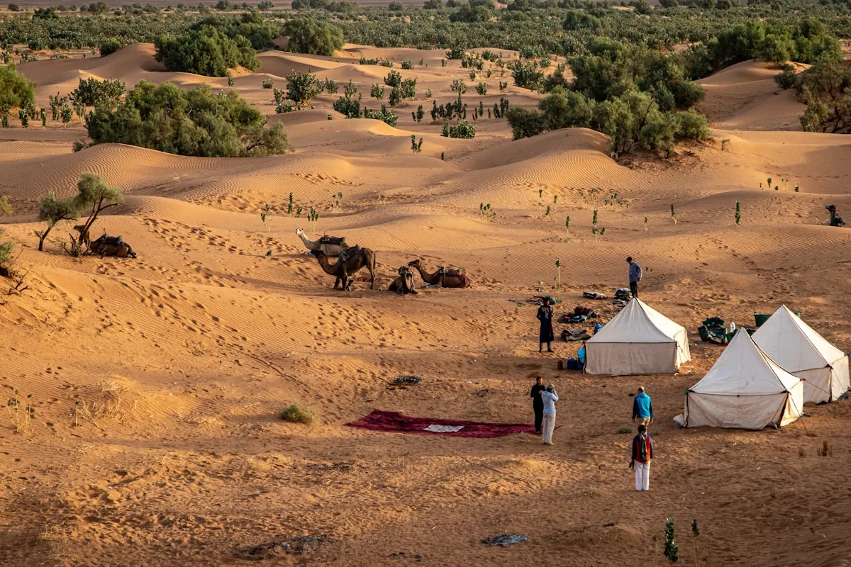 Quad + Cena Bajo las Estrellas en el Desierto de Agafay