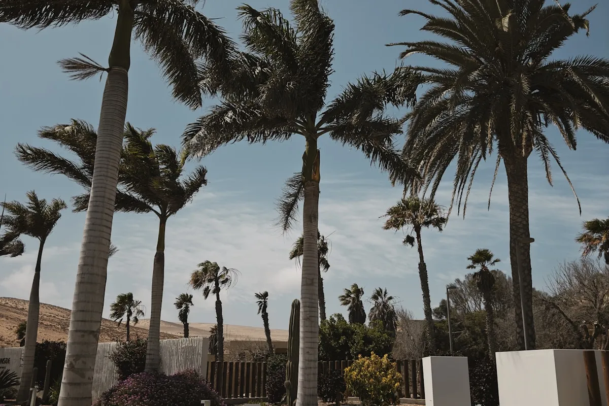 Visitar Marrakech durante el Ramadán: guía completa