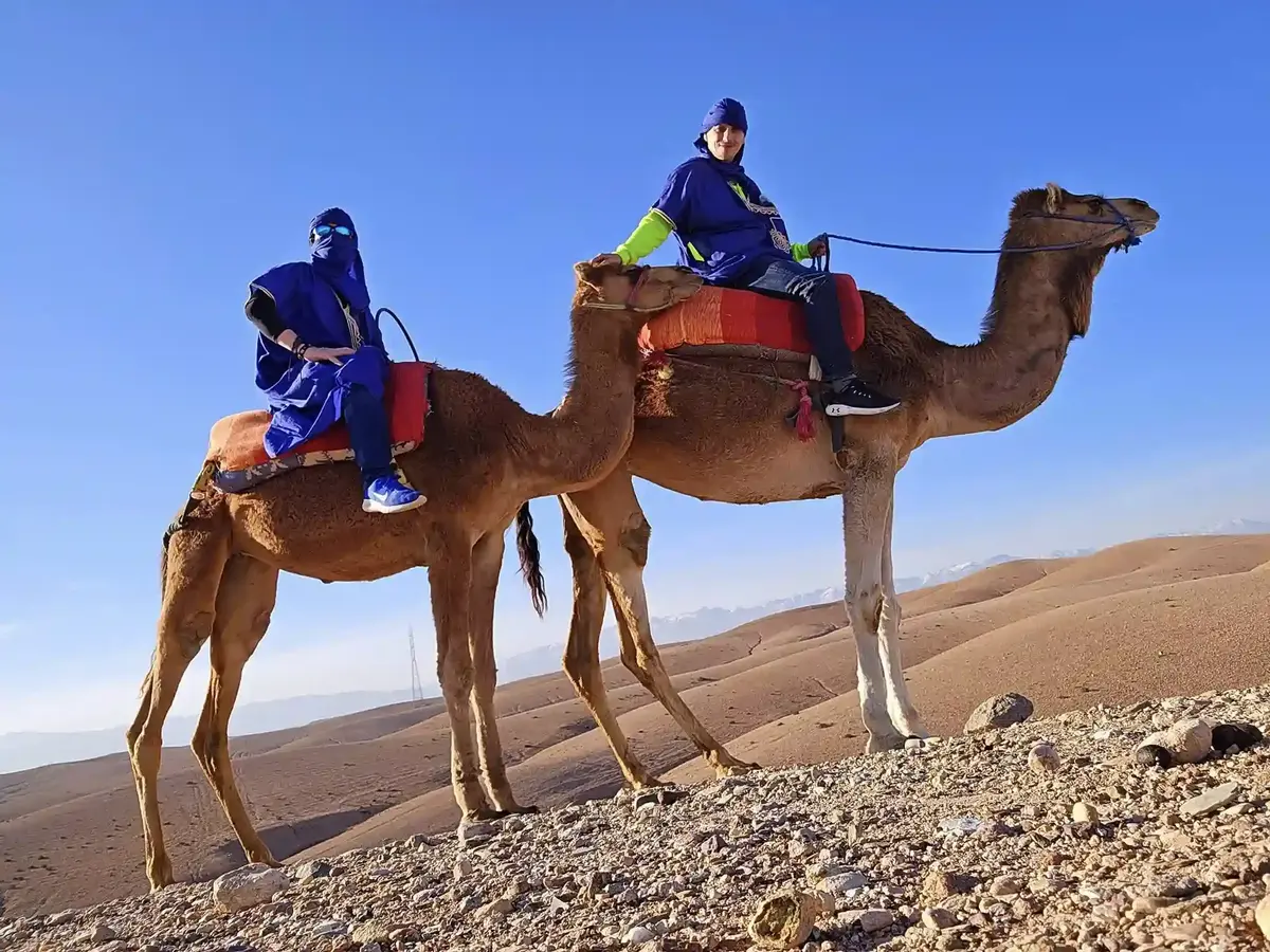 Buggy & Camel Ride Combo Adventure