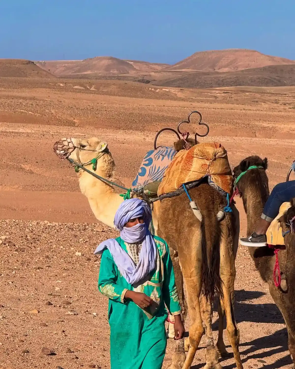 Quad & Camel Ride in Agafay Desert