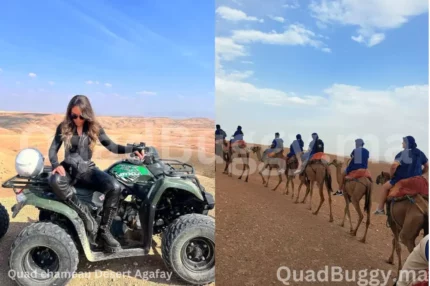 Quad et chameau à agafay