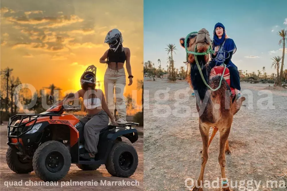quad chameau palmeraie marrakech - Quad Buggy Marrakech